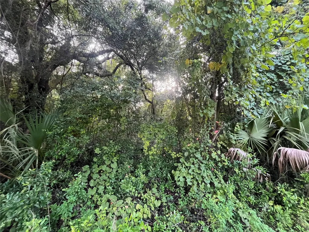 915 Annette Avenue Interlachen FL 32148
