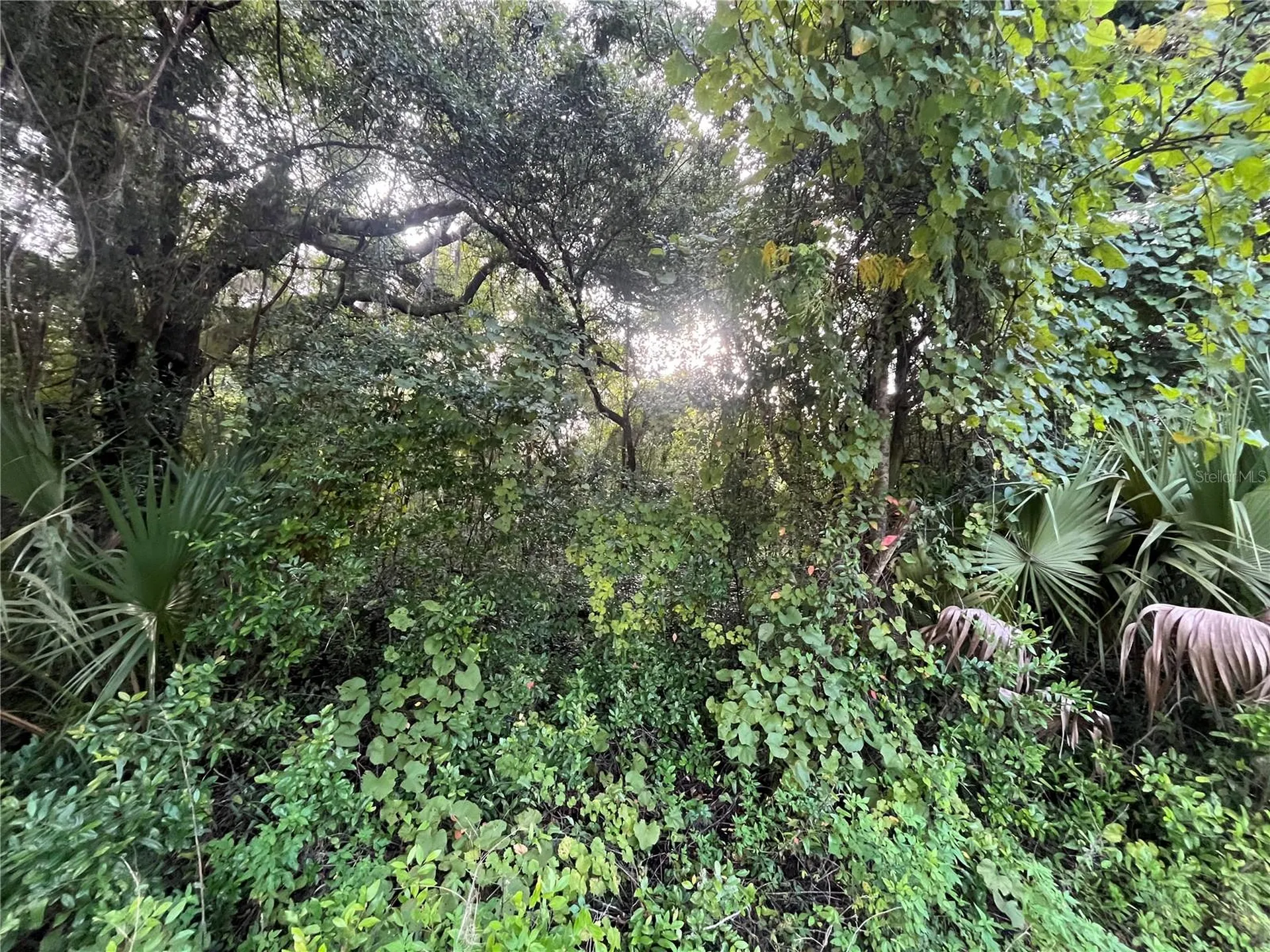 915 Annette Avenue Interlachen FL 32148