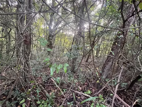 915 Annette Avenue Interlachen FL 32148