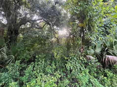 915 Annette Avenue Interlachen FL 32148