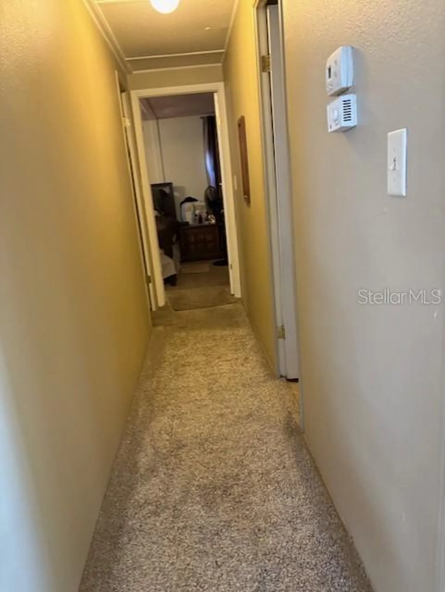29218 Heckleman Street Brooksville FL 34602