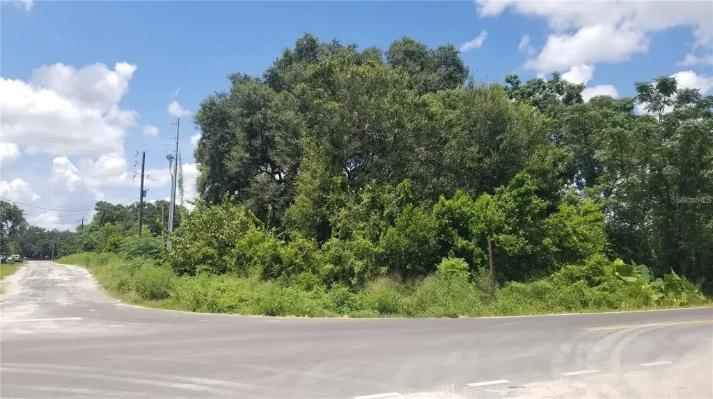 4137 New River Road Zephyrhills FL 33542