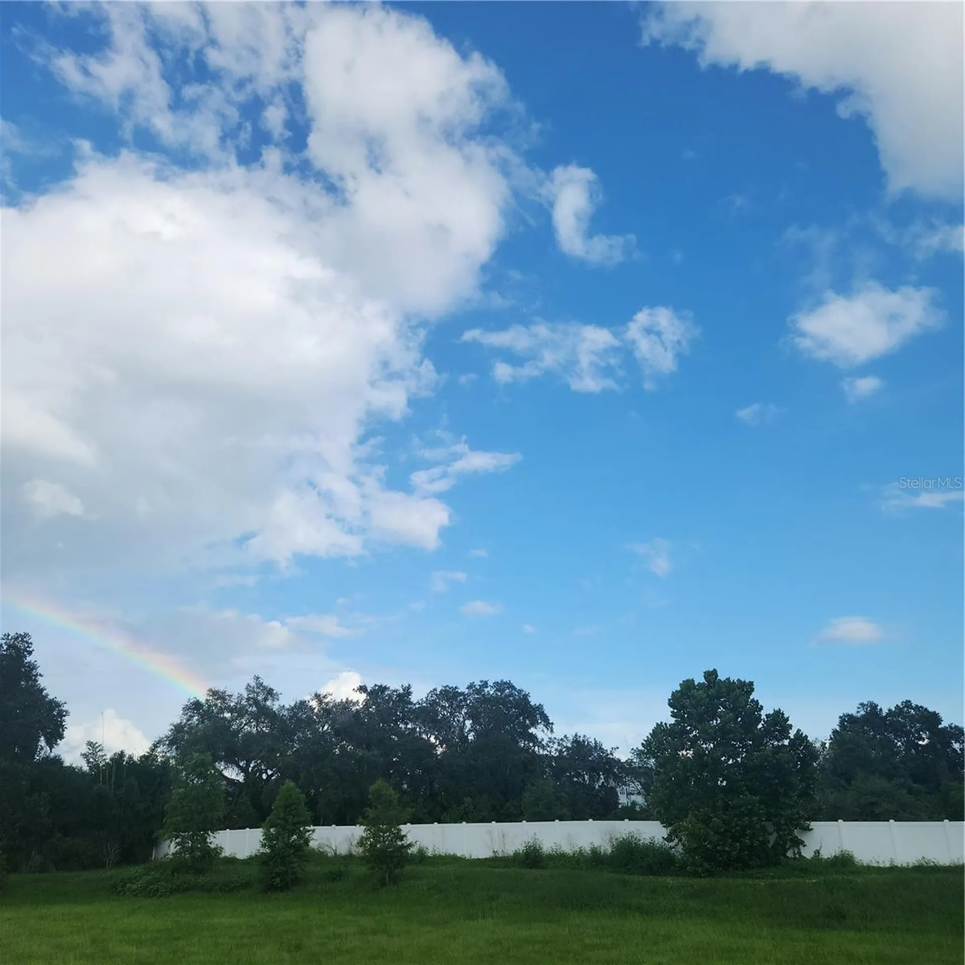 4137 New River Road Zephyrhills FL 33542
