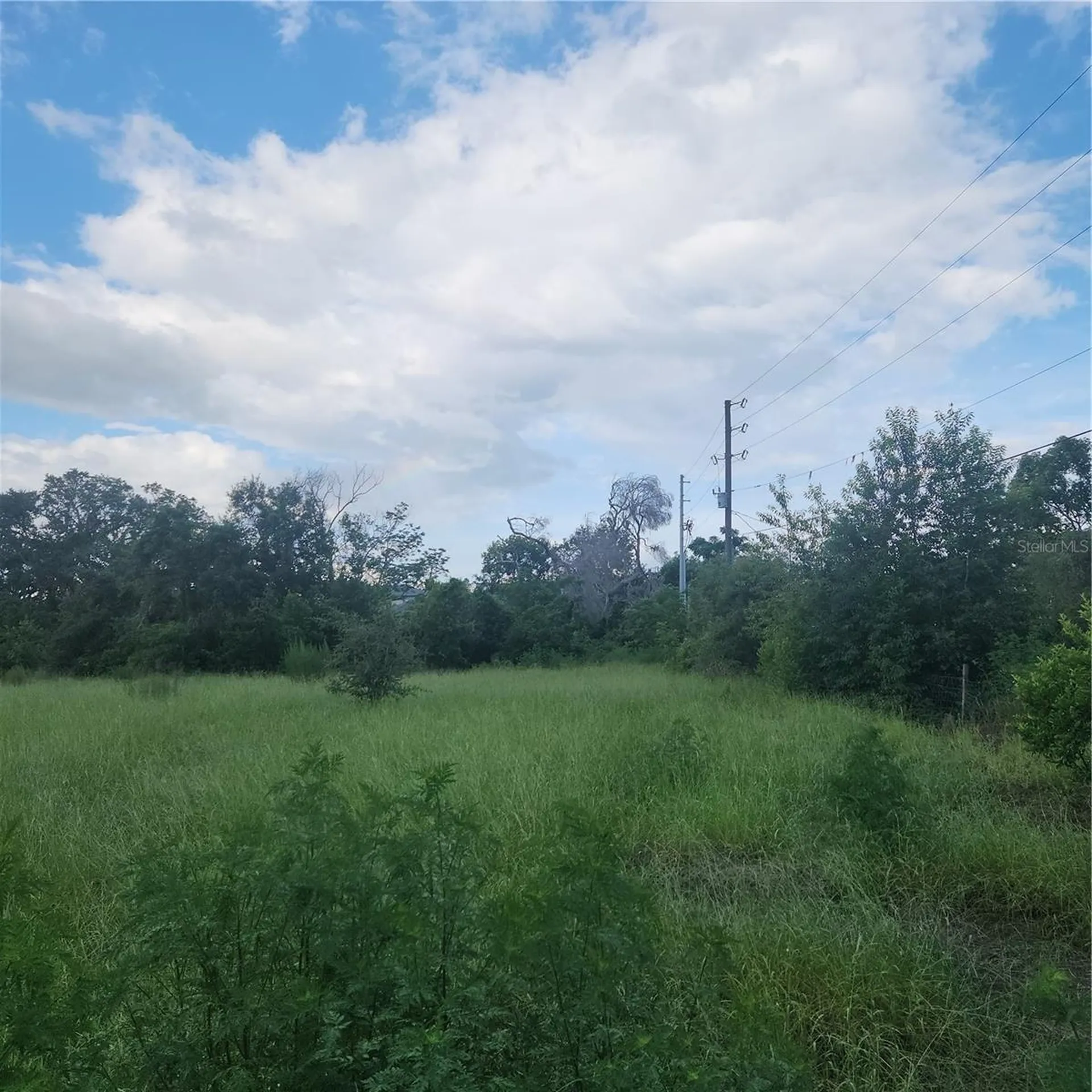 4137 New River Road Zephyrhills FL 33542