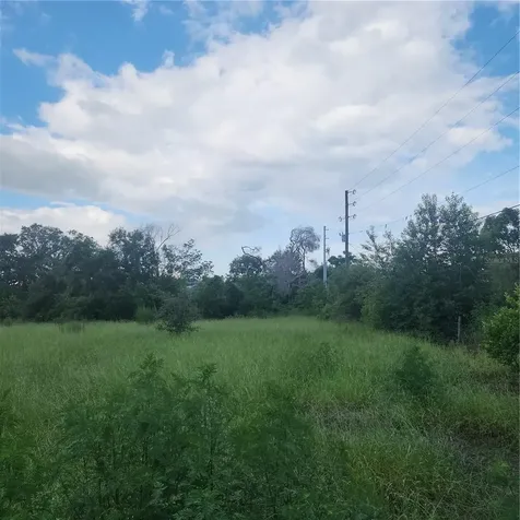 4137 New River Road Zephyrhills FL 33542
