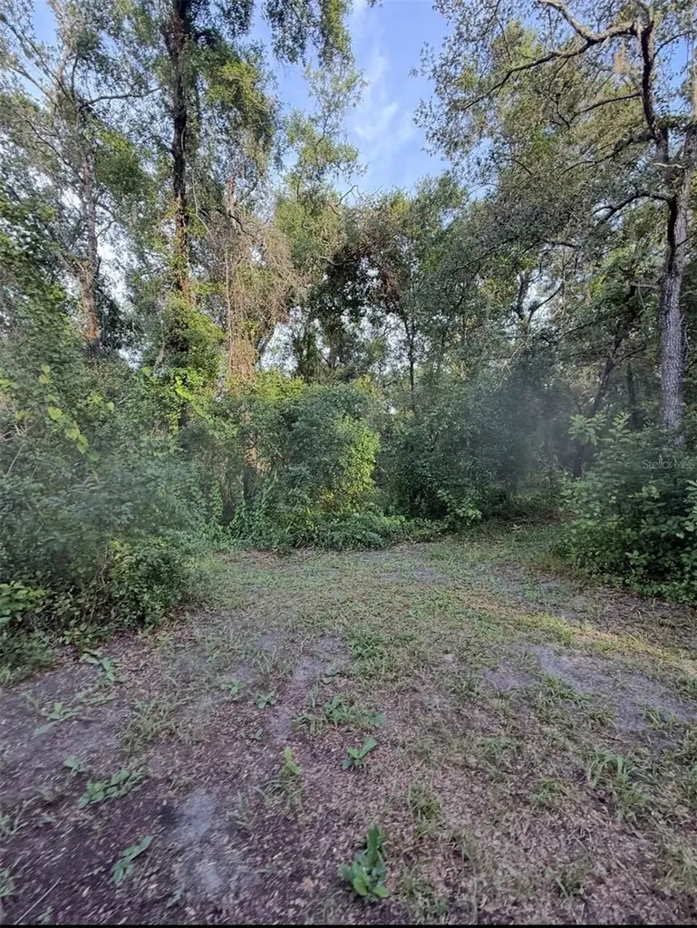 12300 Walter Street Hudson FL 34669