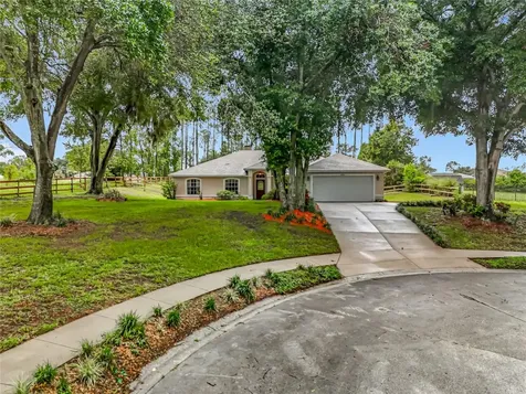 16634 Pine Timber Avenue Montverde FL 34756