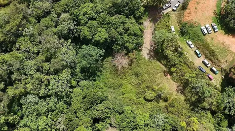 Km 9.1 Pr 354 Camino La Iglesia Mayaguez PR 00680