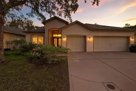 19213 Pelican Ridge Lane Tampa FL 33647