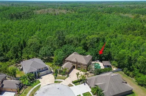 14809 Ninebark Court Land O Lakes FL 34638