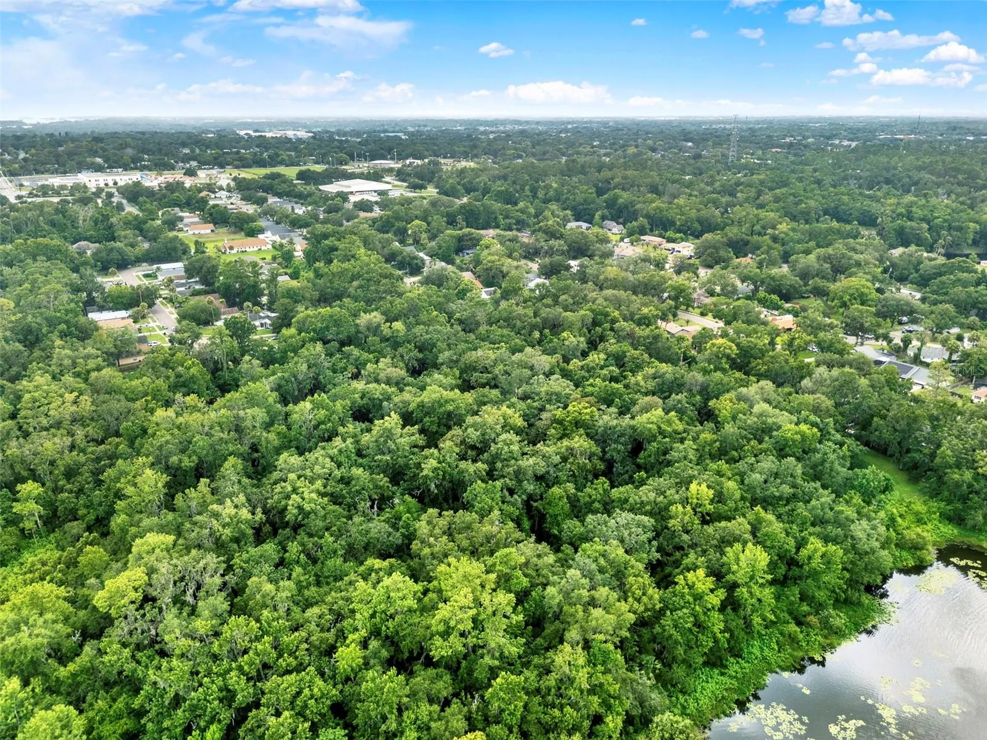 390 Lake Mccoy Drive Apopka FL 32712