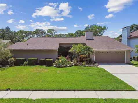 4214 Deepwater Lane Tampa FL 33615
