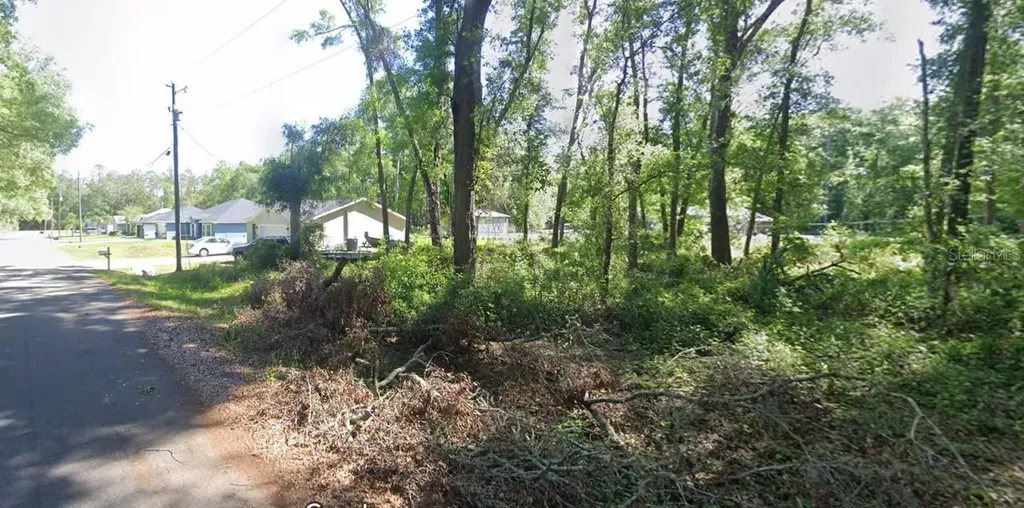 17 Sequoia Trace Ocklawaha FL 32179