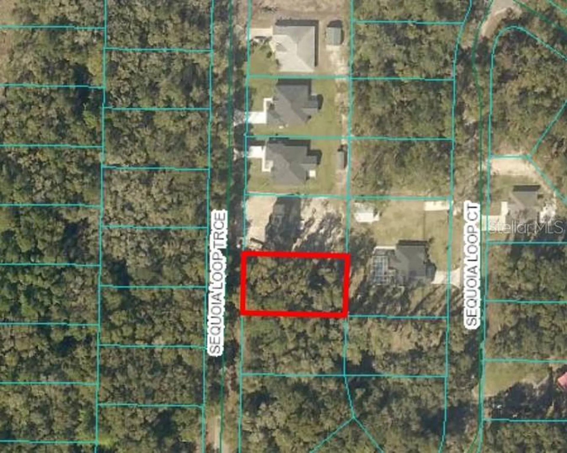 17 Sequoia Trace Ocklawaha FL 32179