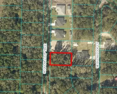 17 Sequoia Loop Trace Ocklawaha FL 32179