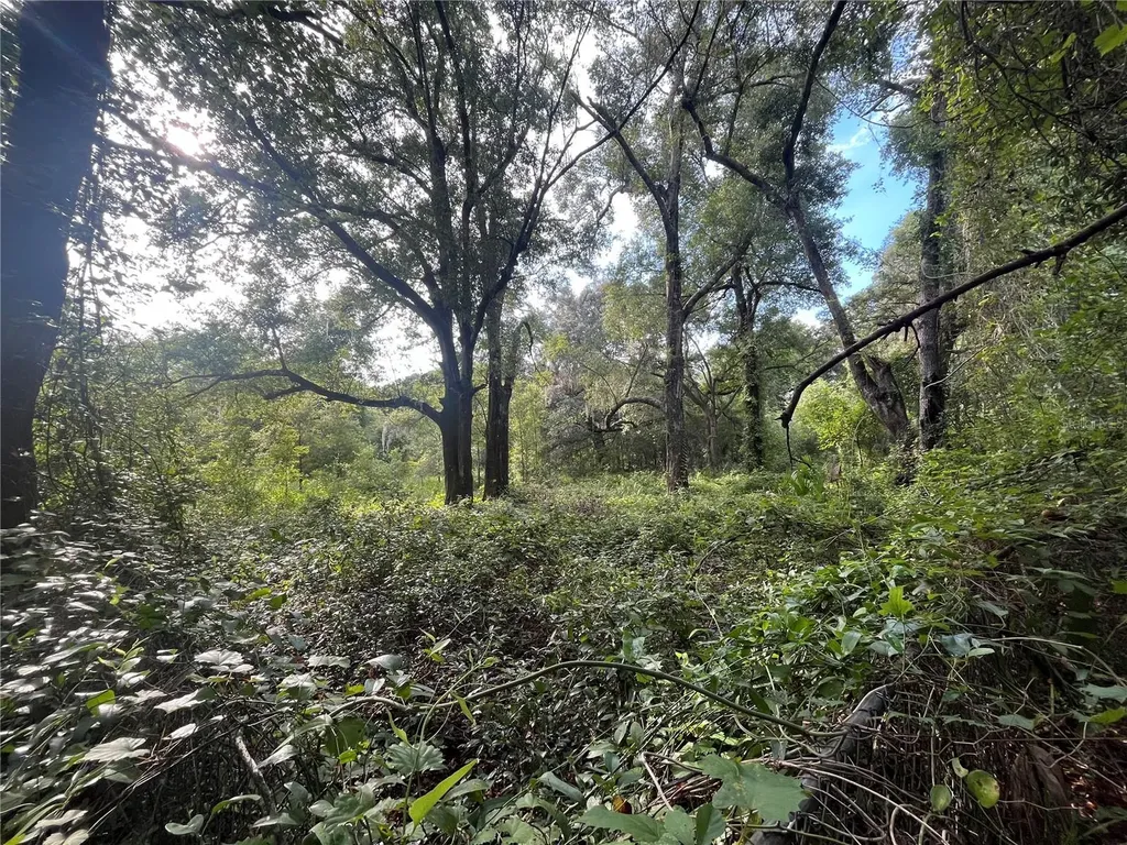305 Milton Avenue Interlachen FL 32148