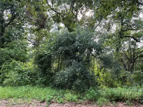 305 Milton Avenue Interlachen FL 32148