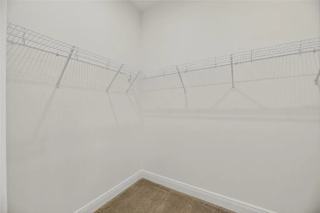 6218 Hidden Branch Drive Apollo Beach FL 33572