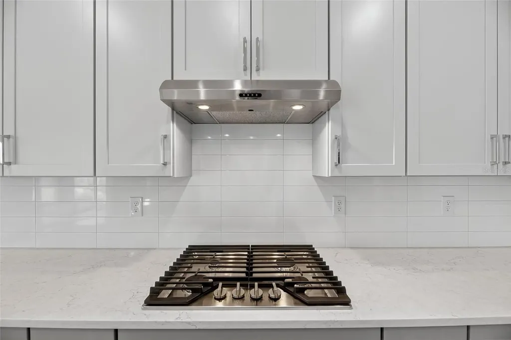 6218 Hidden Branch Drive Apollo Beach FL 33572