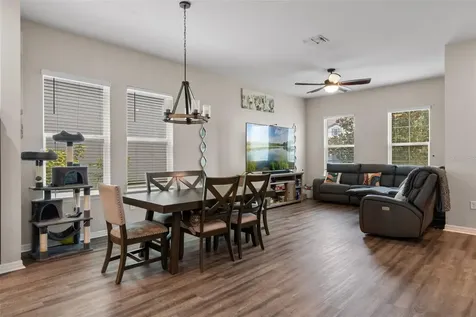 14954 Guava Bay Drive Winter Garden FL 34787