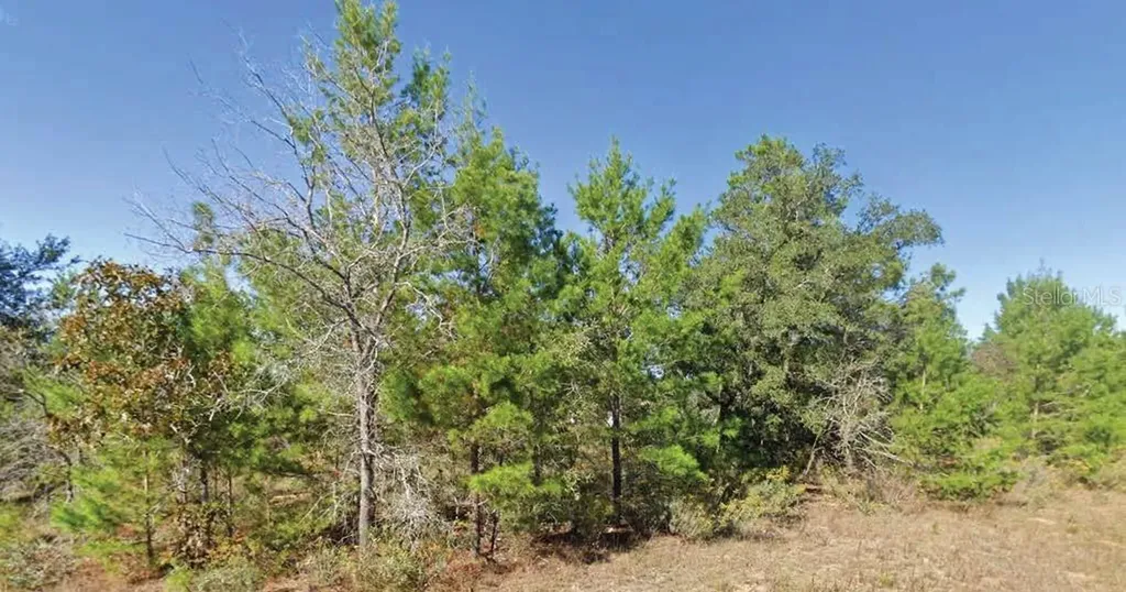 Dumajack Road Chipley FL 32428