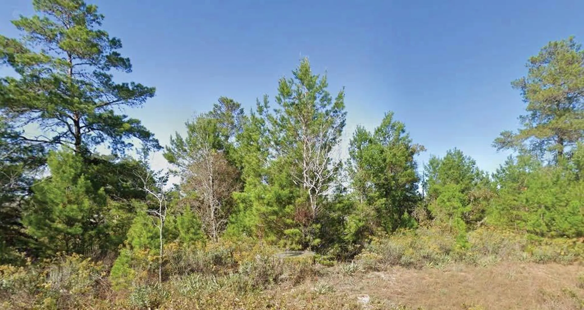 Dumajack Road Chipley FL 32428