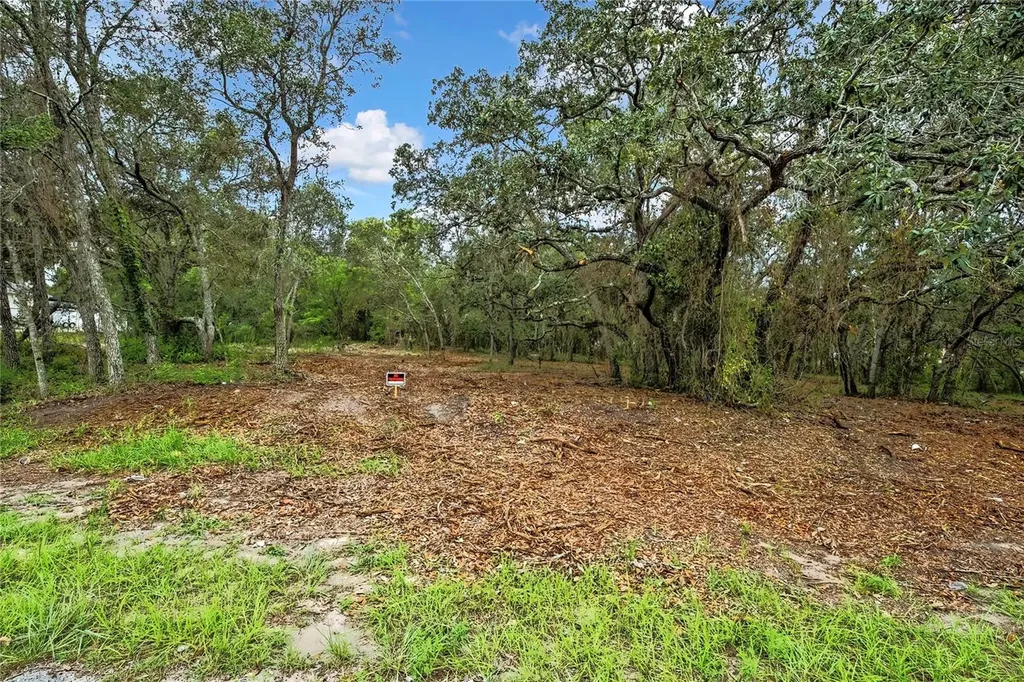0 Old Shady Hills Road Spring Hill FL 34610