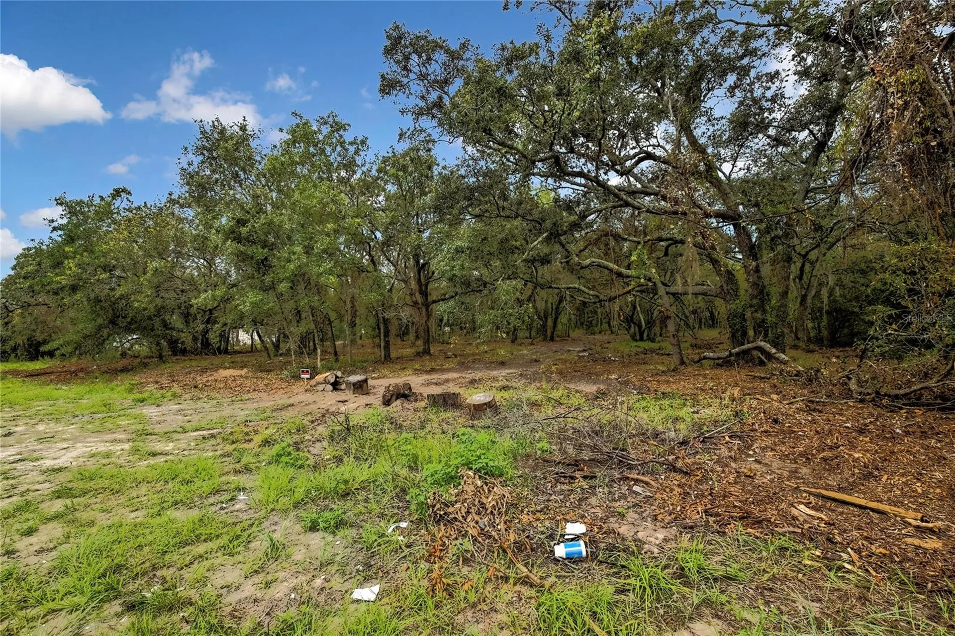 0 Old Shady Hills Road Spring Hill FL 34610