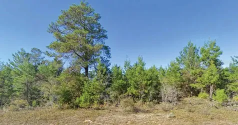 Dumajack Road Chipley FL 32428