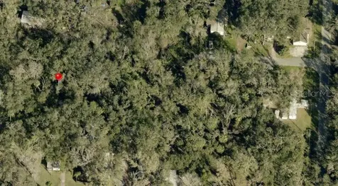 931 Estelle Avenue Brandon FL 33511