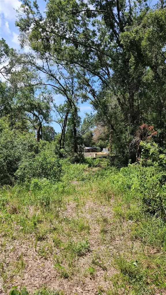 7624 Anno Street Tampa FL 33625
