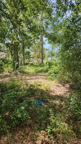 7624 Anno Street Tampa FL 33625