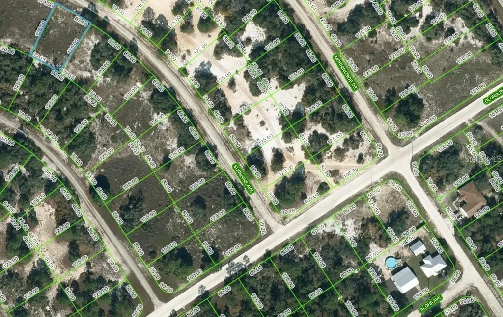417 Sunshine Avenue Lake Placid FL 33852