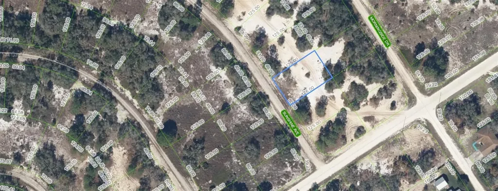 426 Sunshine Avenue Lake Placid FL 33852