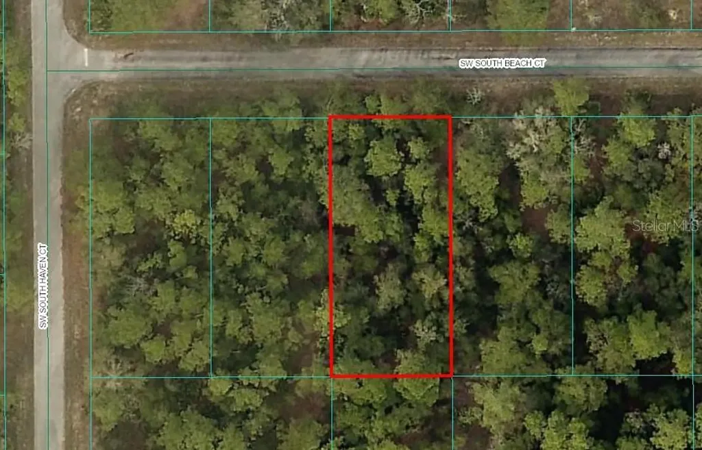 LOT#11 SW South Beach Court Dunnellon FL 34431