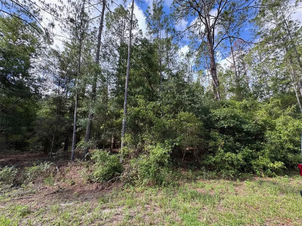 LOT#11 SW South Beach Court Dunnellon FL 34431