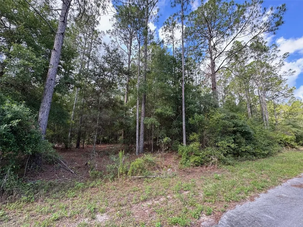 LOT#11 SW South Beach Court Dunnellon FL 34431