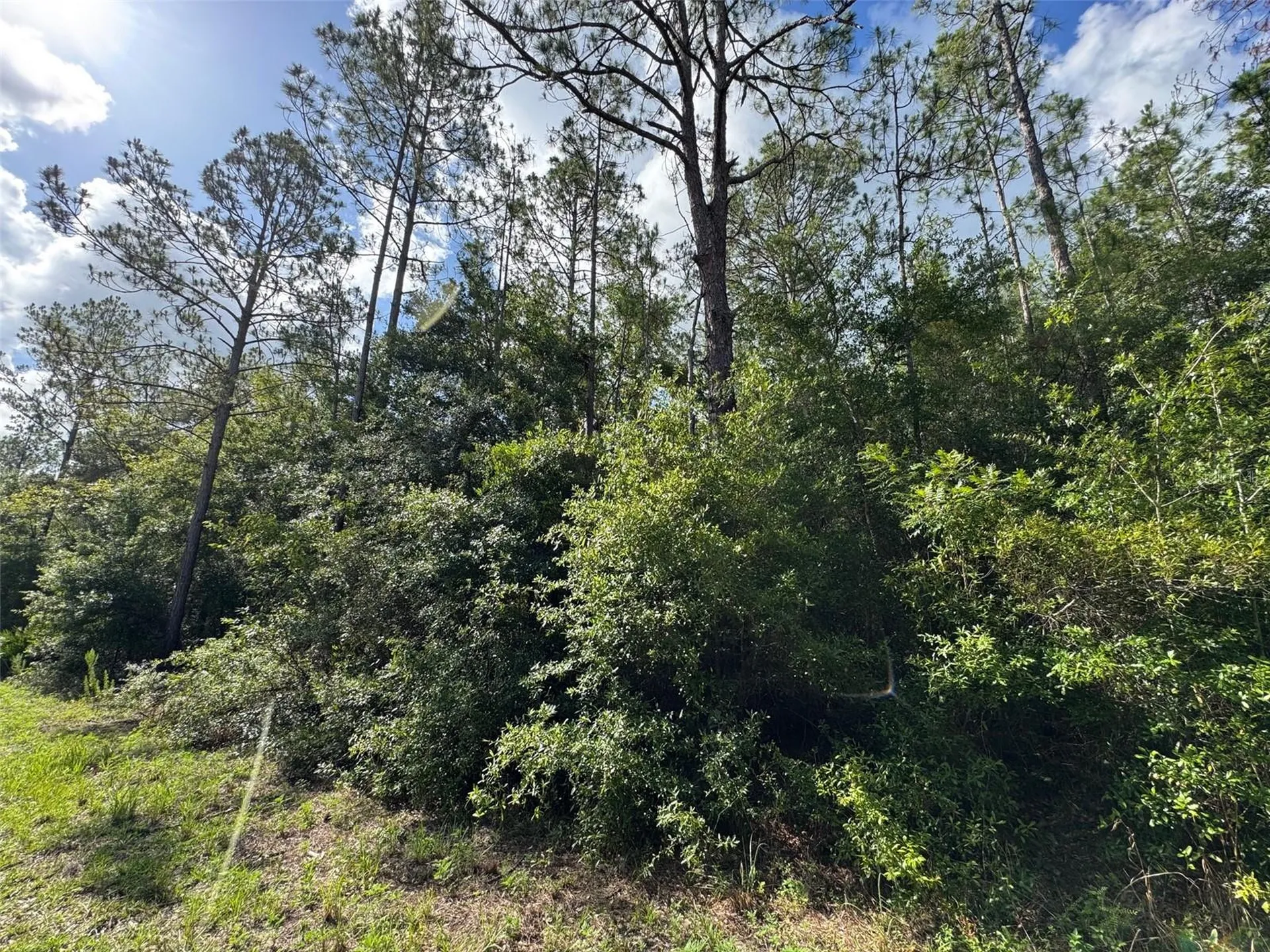 LOT#11 SW South Beach Court Dunnellon FL 34431