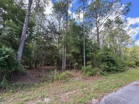 LOT#11 SW South Beach Court Dunnellon FL 34431