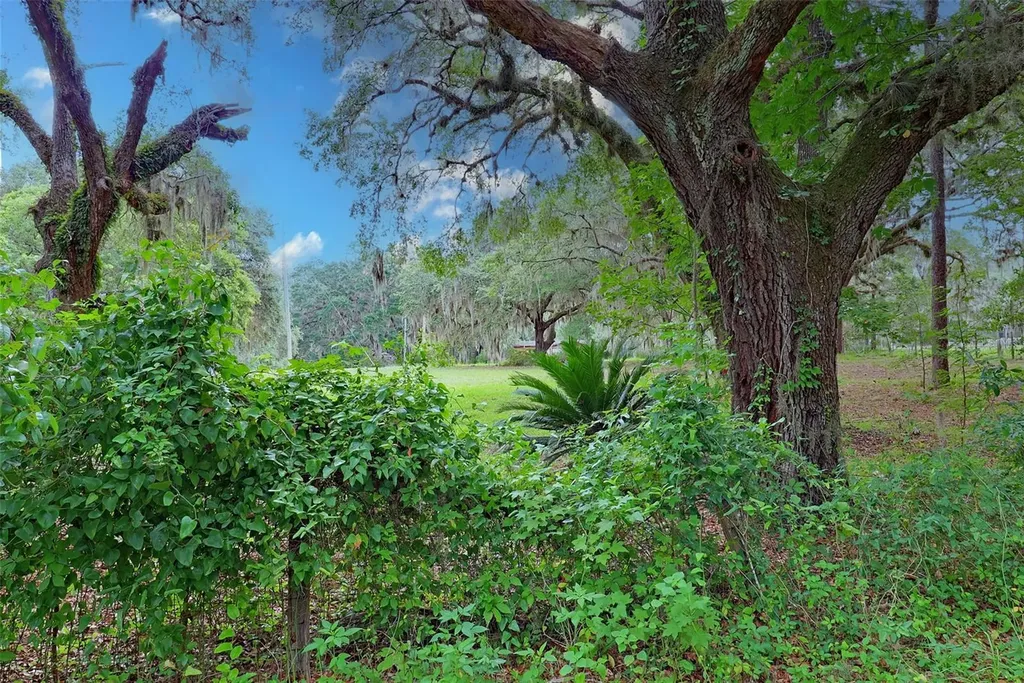 202 Bostwick Cemetery Road Palatka FL 32177