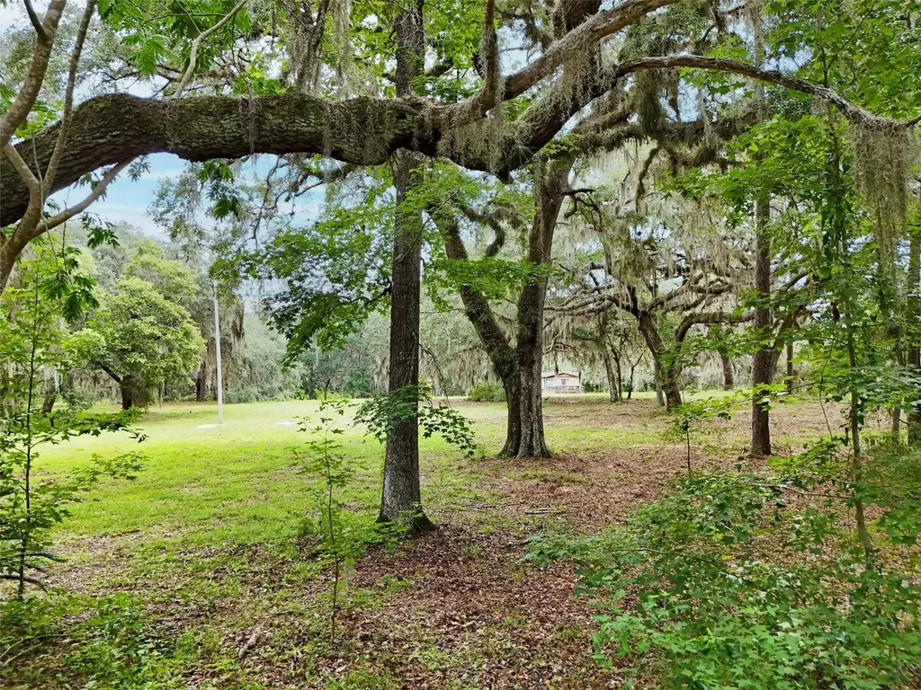 202 Bostwick Cemetery Road Palatka FL 32177