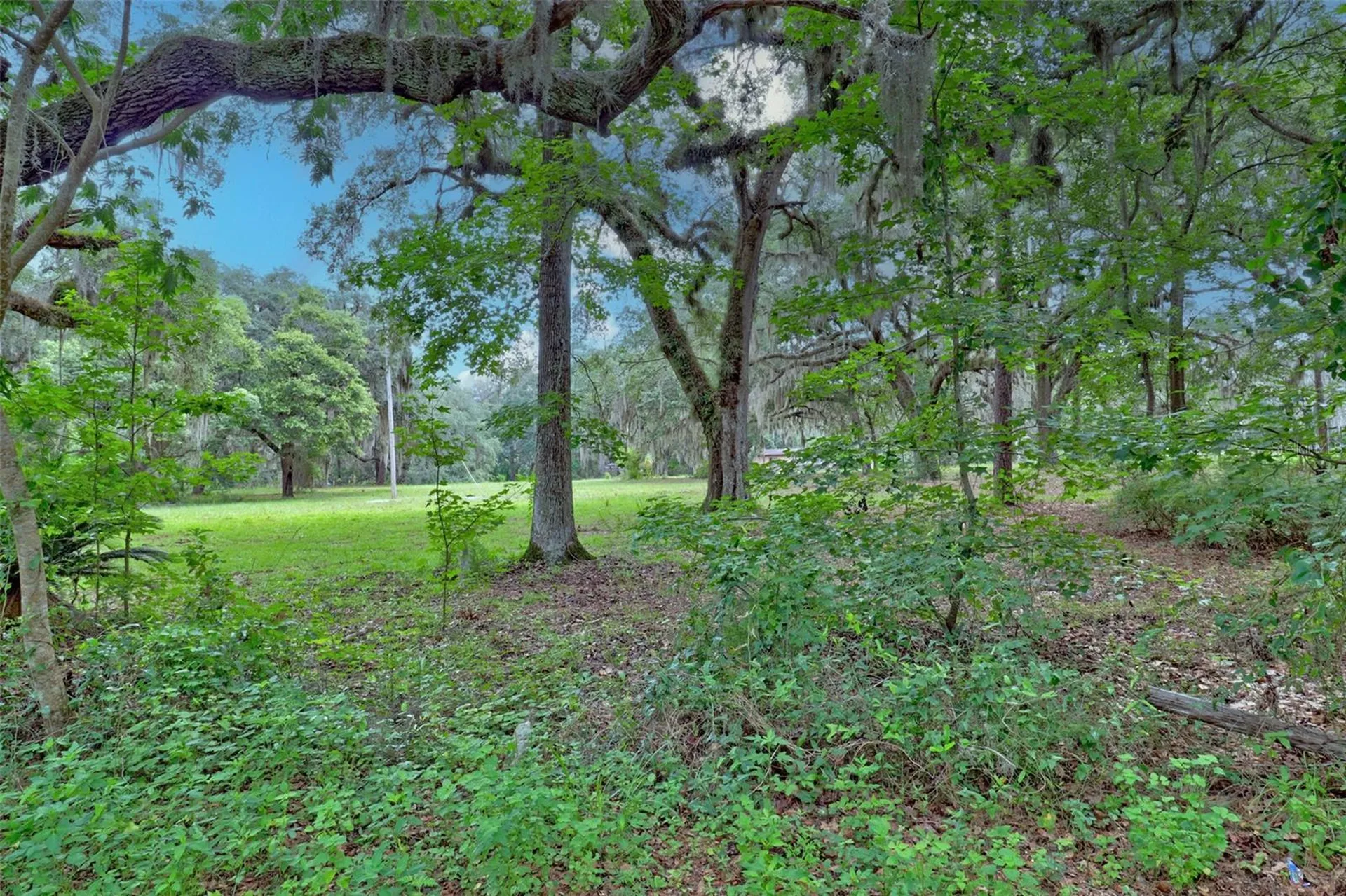 202 Bostwick Cemetery Road Palatka FL 32177