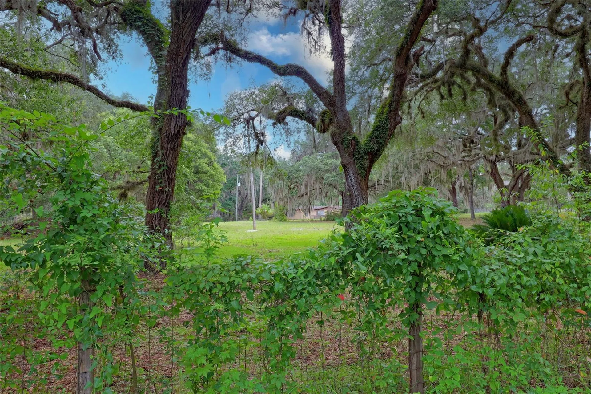 202 Bostwick Cemetery Road Palatka FL 32177