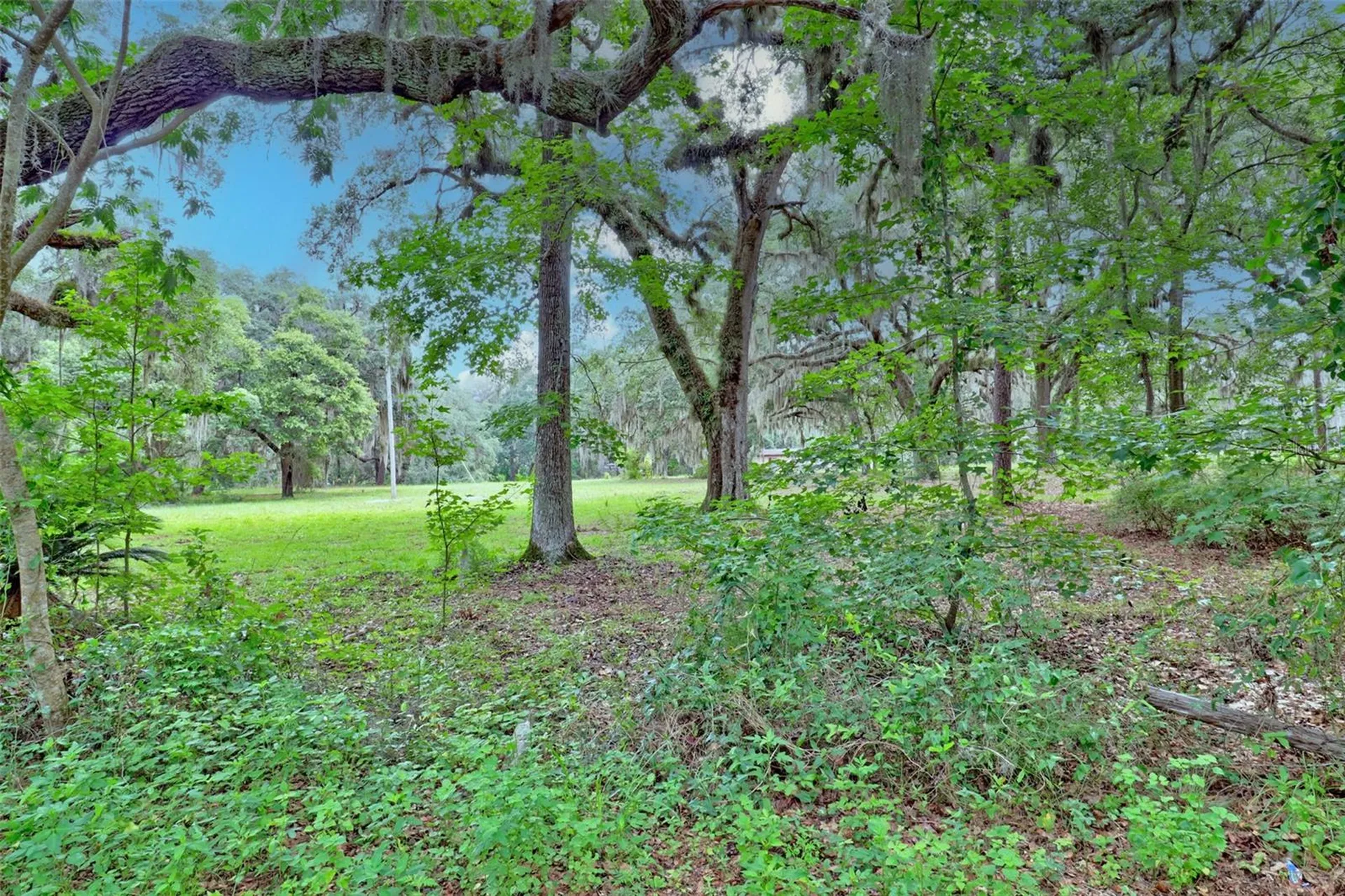 202 Bostwick Cemetery Road Palatka FL 32177