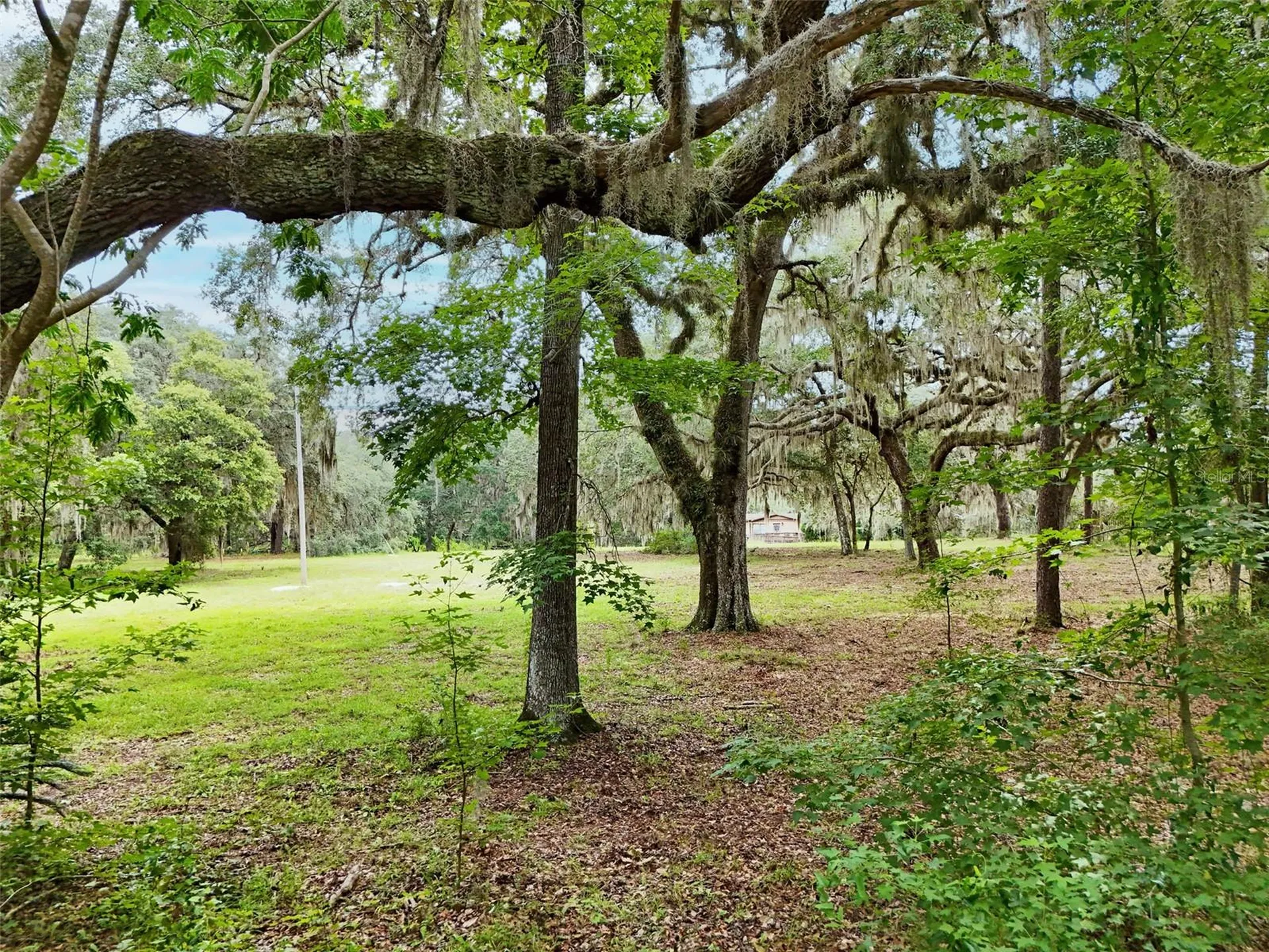 202 Bostwick Cemetery Road Palatka FL 32177