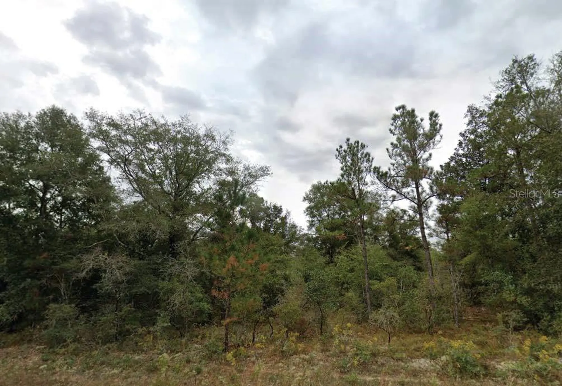 Matheson Street Chipley FL 32428