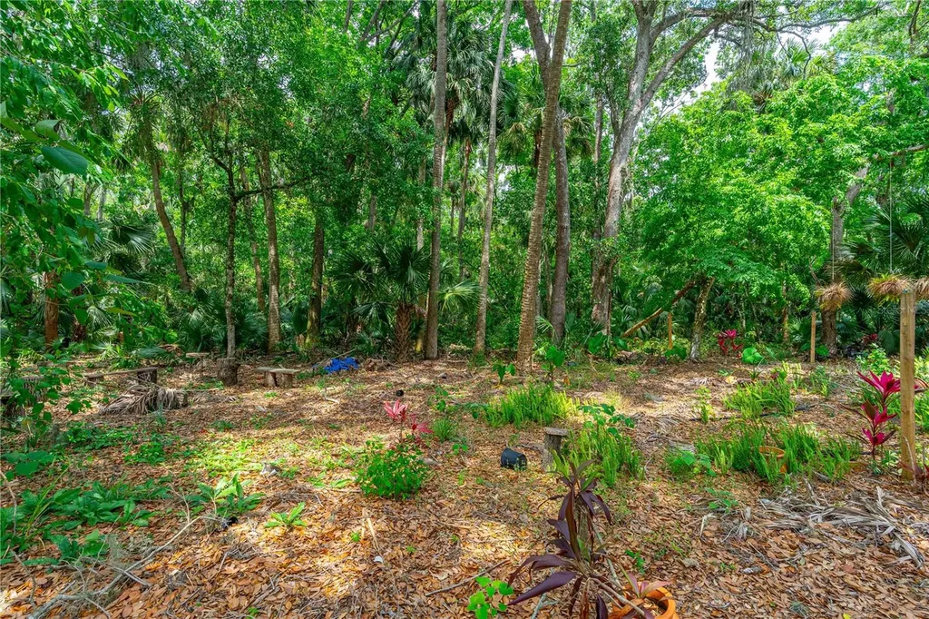 849 Terrace Avenue Daytona Beach FL 32114
