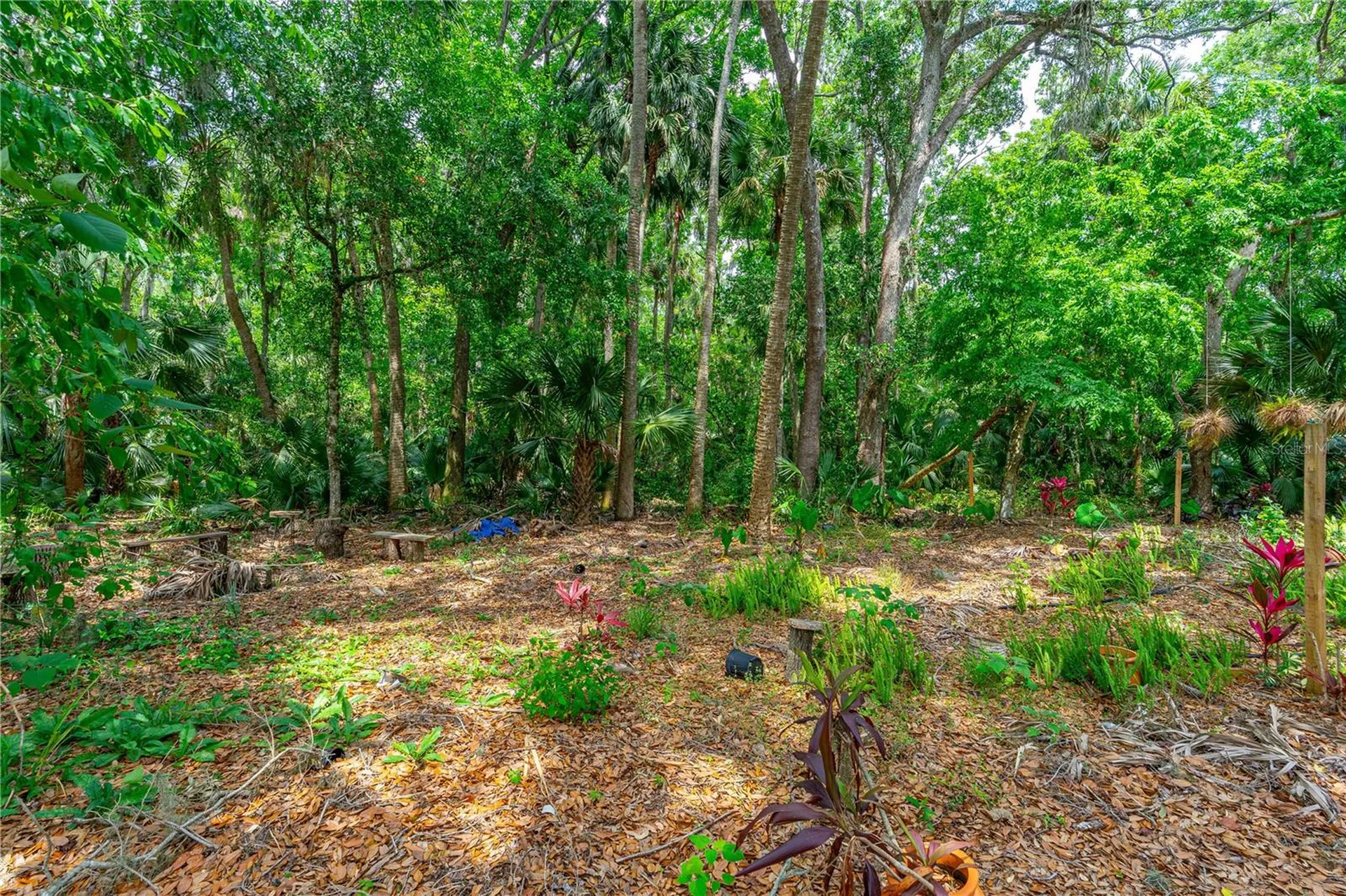 849 Terrace Avenue Daytona Beach FL 32114