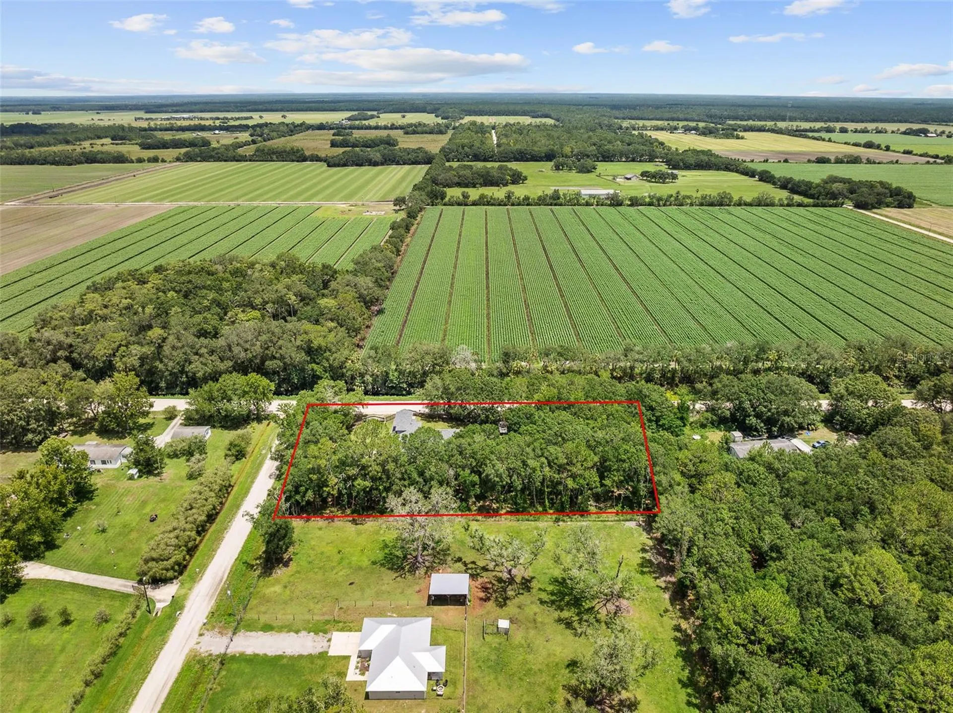 4191 Canal Avenue Bunnell FL 32110