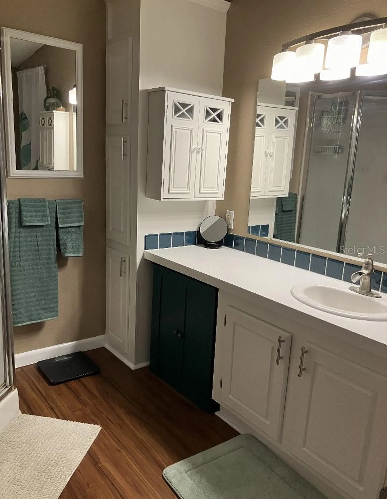 621 SW 79th Court Ocala FL 34474